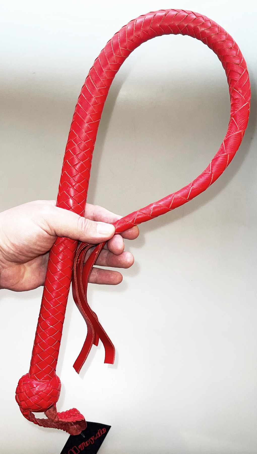 Kanadische Shortpeitsche kurze Singletail - Red