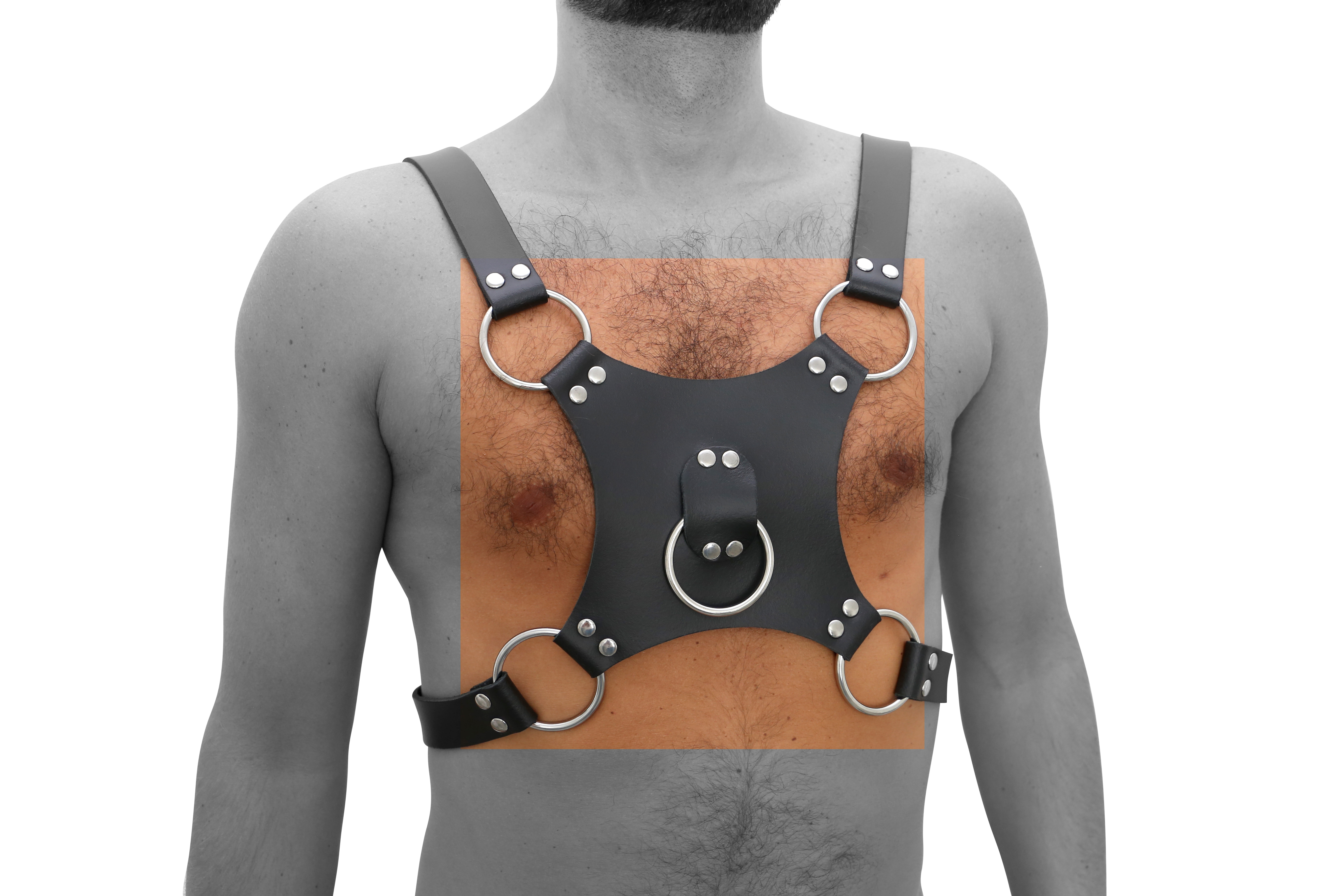 Harness O-Ring